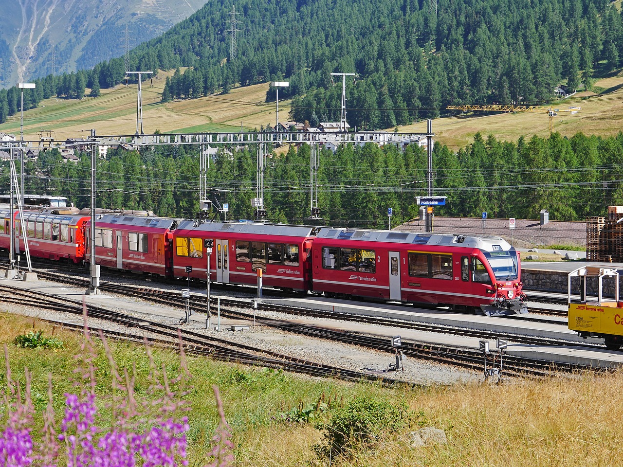 阿里山大华功夫爆珠:杭州社保app详情下载教程