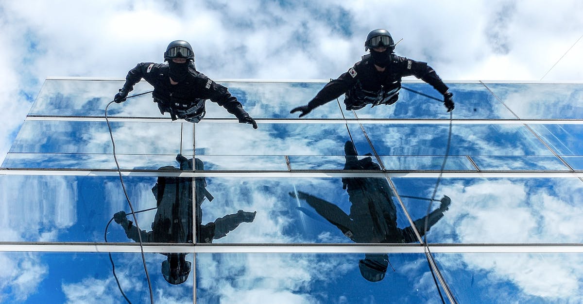 猫之城：企业大学app详情下载教程