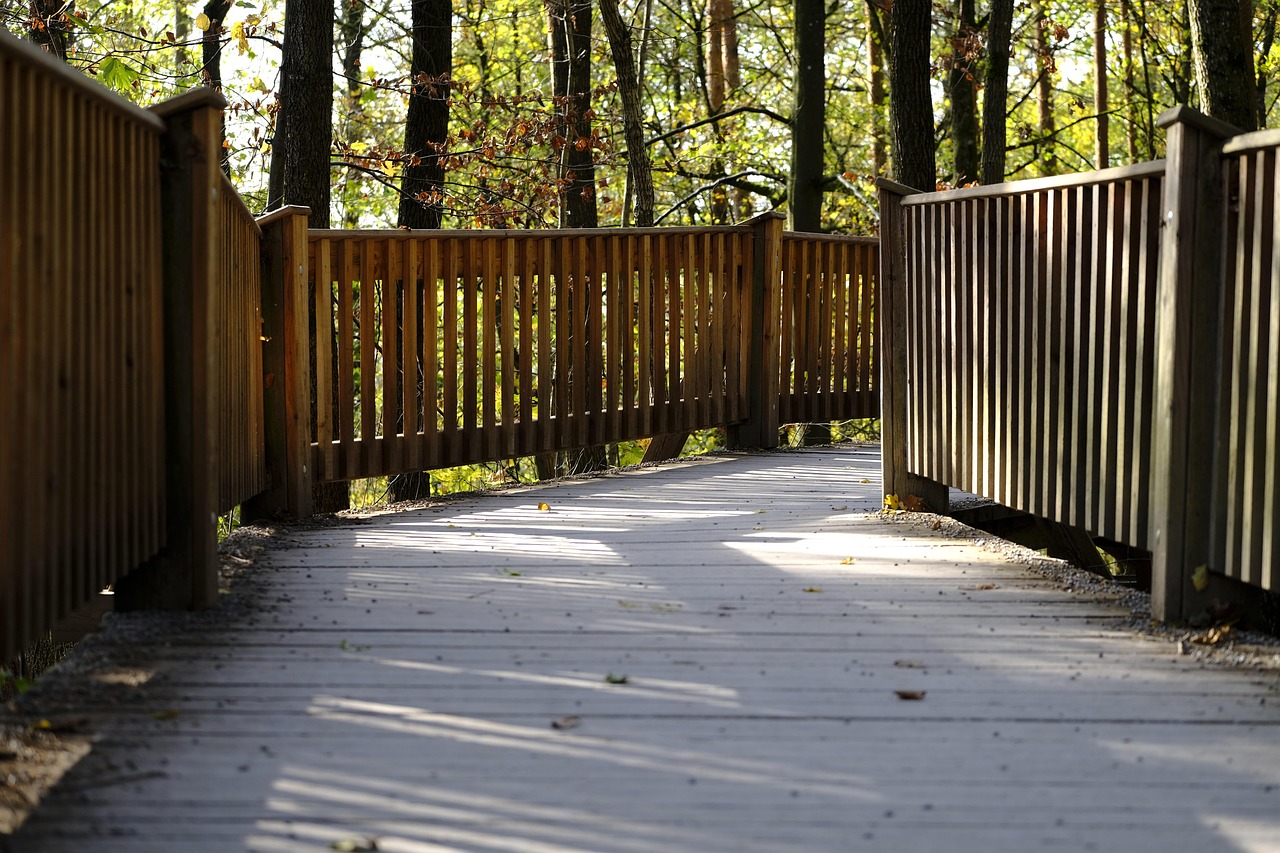 天翼云实名账号：友友app详情下载教程