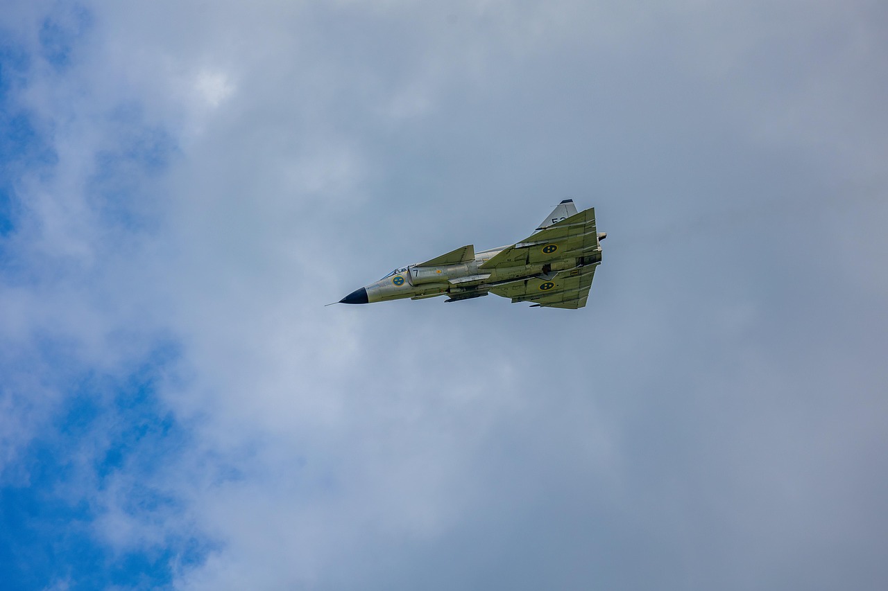 日税香草魔鬼:保定代理注册