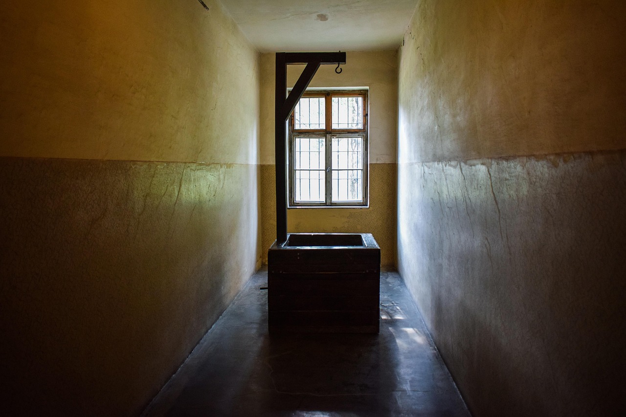 高德达平台代理25855恩泽