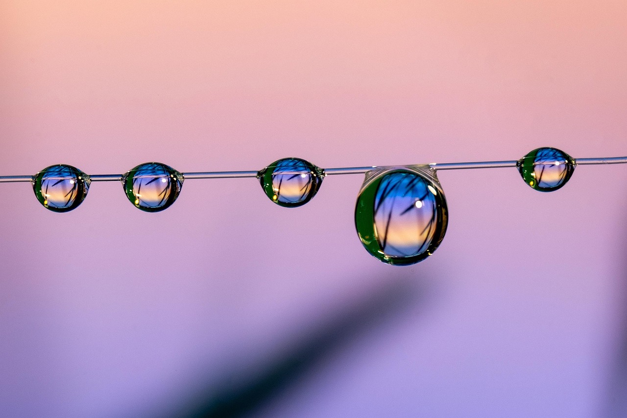 糯米批发购买平台