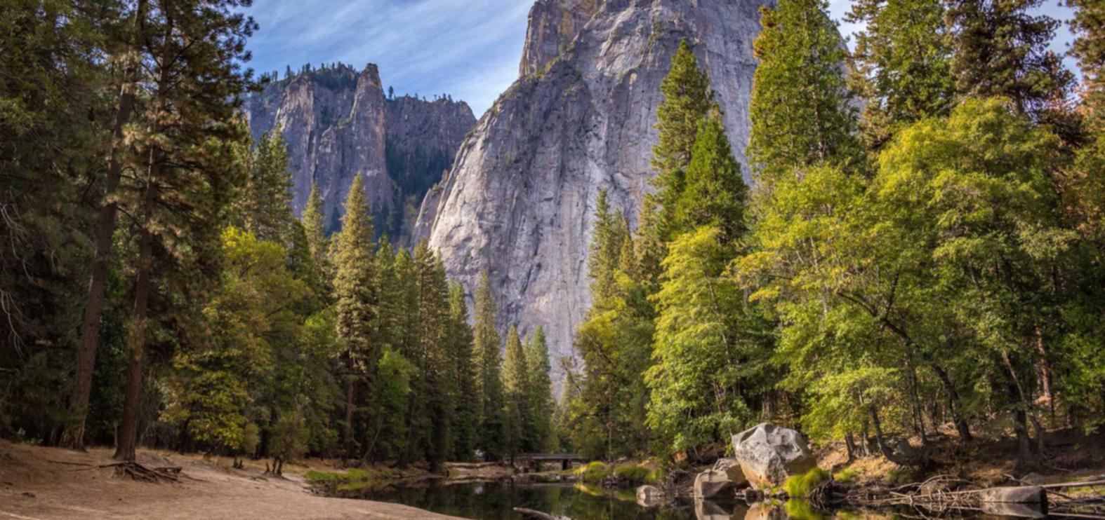 香烟和家庭和婚姻的冲击与危机