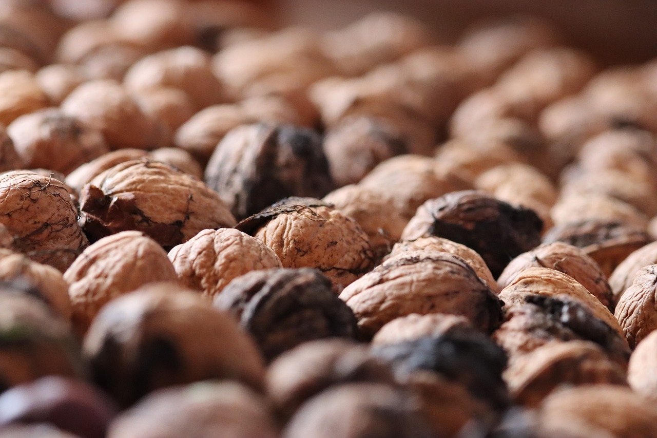 全国通用无限流量卡- 阳江代理平台